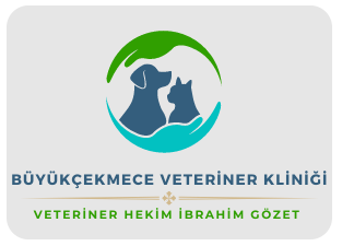 Büyükçekmece Veteriner Kliniği | Veteriner Hekim İbrahim Gözet | İstanbul Büyükçekmece Veteriner | İstanbul Büyükçekmece Veteriner Hekim | İstanbul Büyükçekmece Veteriner Acil Veteriner