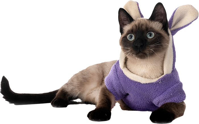 Büyükçekmece Veteriner Kliniği Veteriner Hekim İbrahim Gözet Büyükçekmece Veteriner Kliniği | Veteriner Hekim İbrahim Gözet | İstanbul Büyükçekmece Veteriner | İstanbul Büyükçekmece Veteriner Hekim | İstanbul Büyükçekmece Veteriner Acil Veteriner